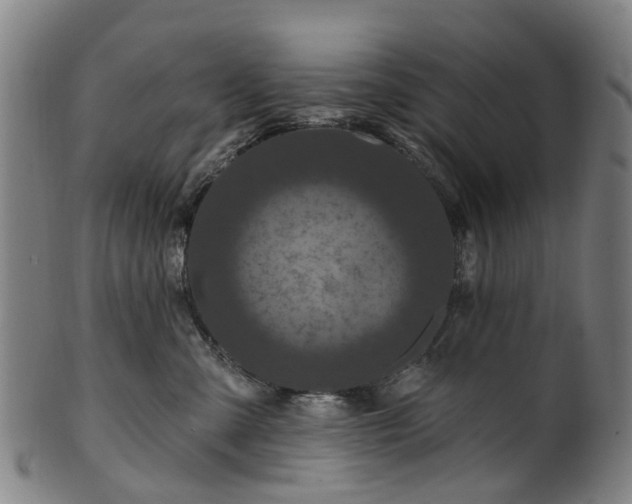 X0000099960427200806061610