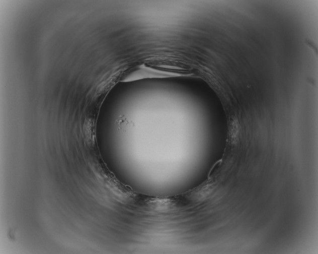 X0000099960428200806061610