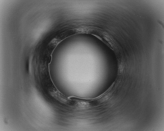 X0000099960429200806061610
