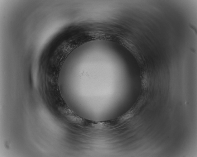X0000099960430200806061610
