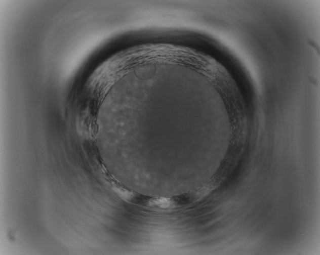 X0000099960431200806061610