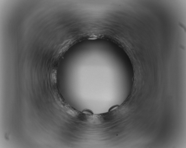 X0000099960432200806061610