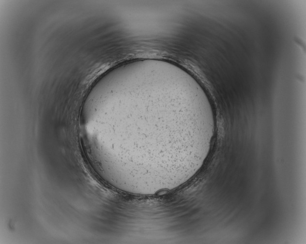 X0000099960433200806061609
