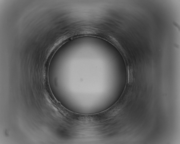 X0000099960435200806061609