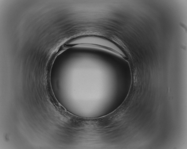 X0000099960436200806061609