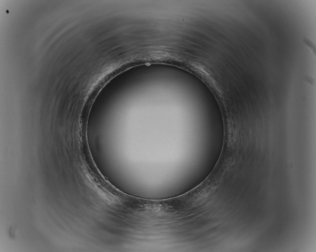 X0000099960439200806061609
