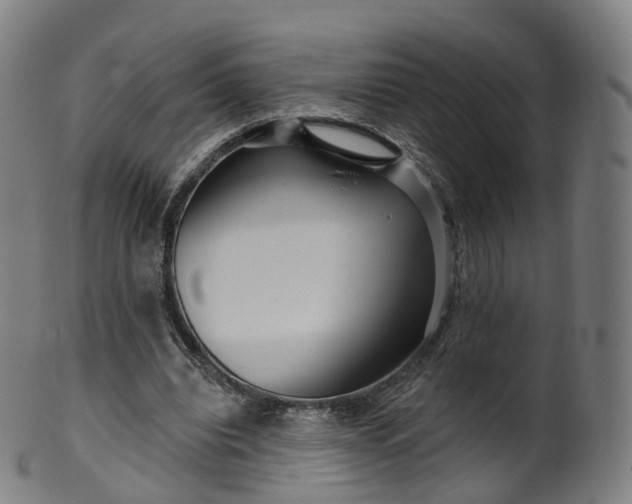 X0000099960440200806061609