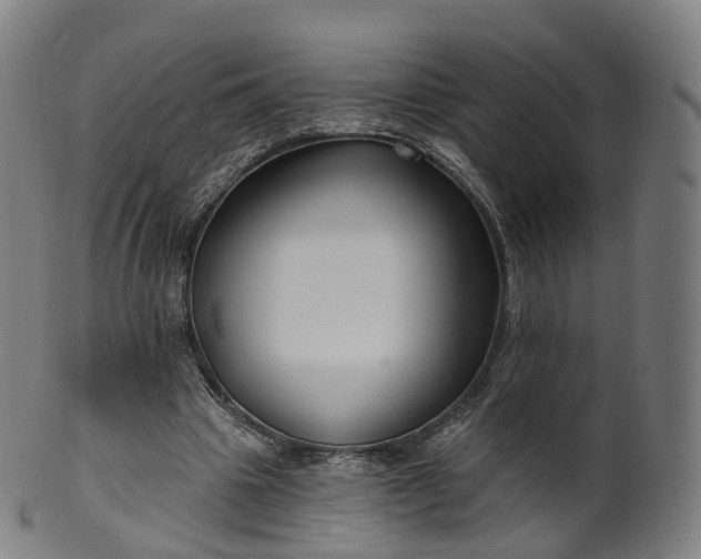 X0000099960441200806061609