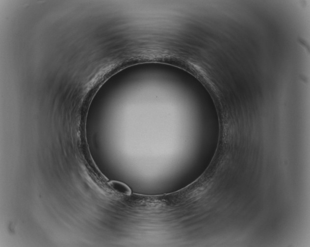 X0000099960443200806061609