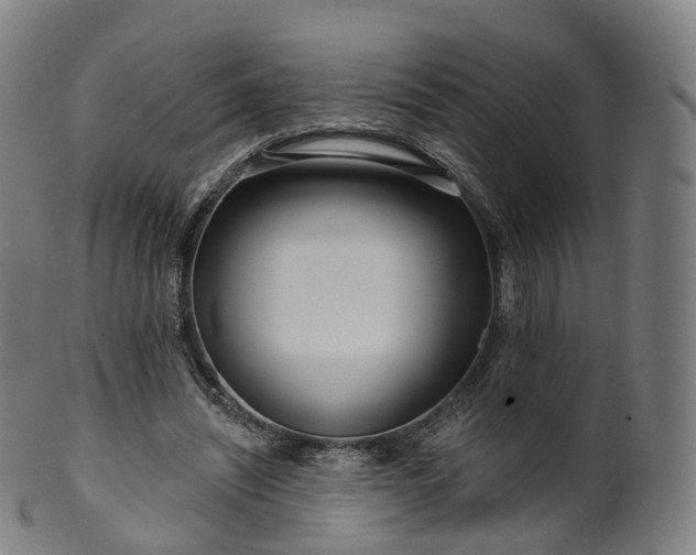 X0000099960444200806061609