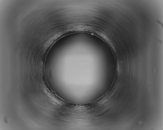 X0000099960445200806061609