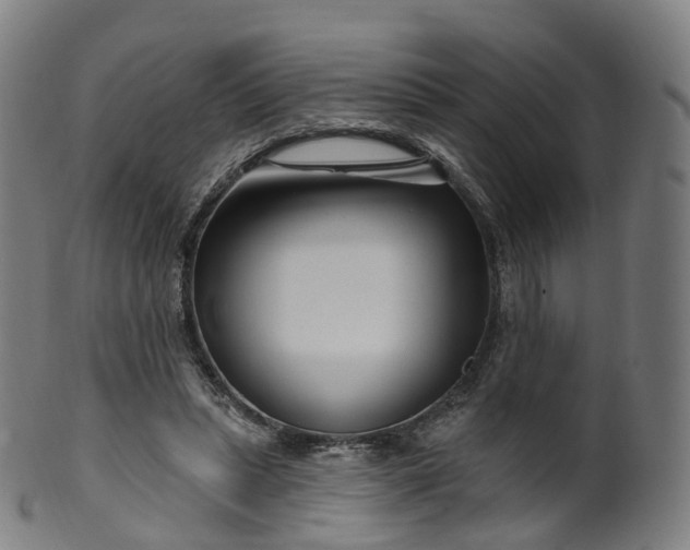 X0000099960447200806061609