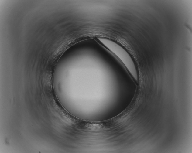 X0000099960449200806061609