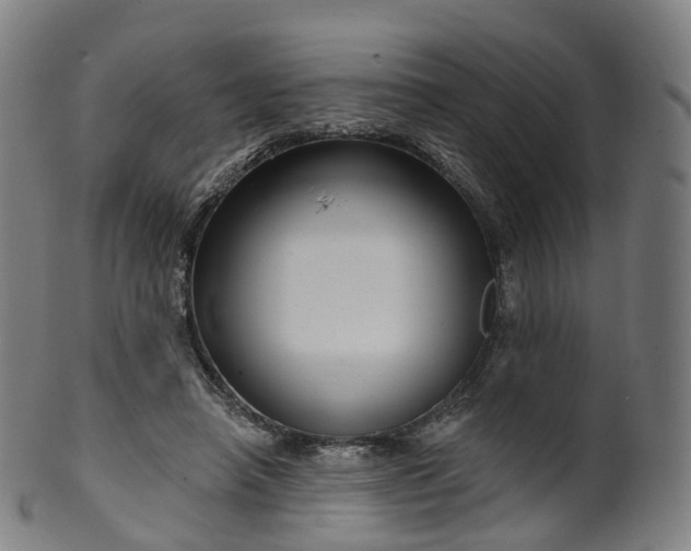 X0000099960450200806061609