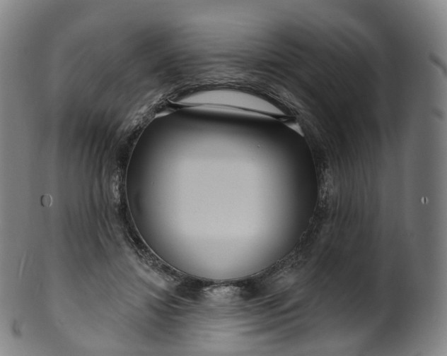 X0000099960452200806061609