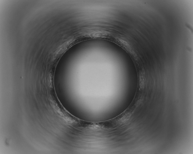 X0000099960453200806061609