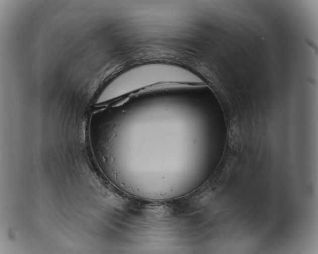 X0000099960454200806061609