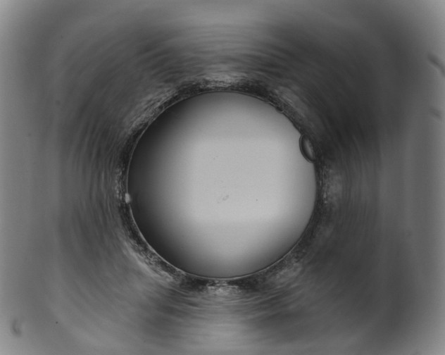 X0000099960455200806061609