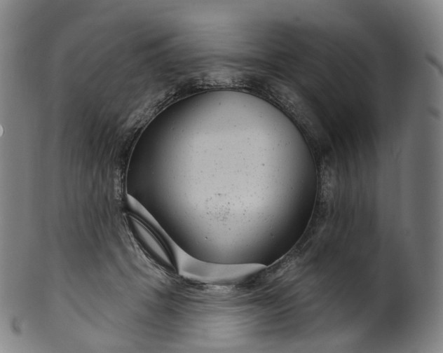X0000099960457200806061609