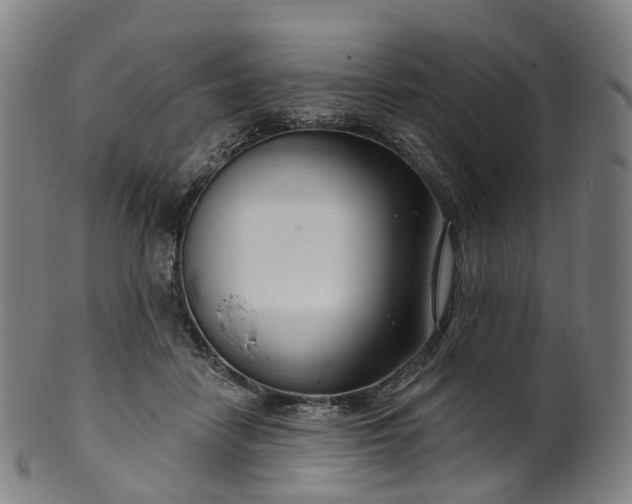 X0000099960458200806061609