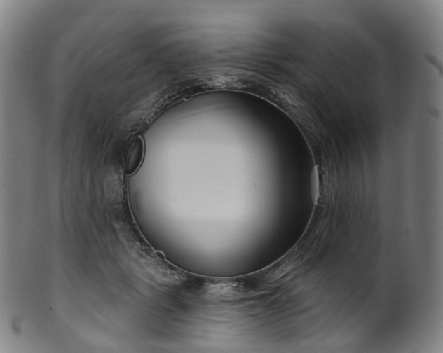 X0000099960461200806061610