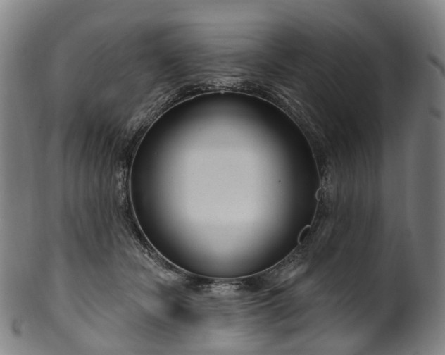 X0000099960462200806061610