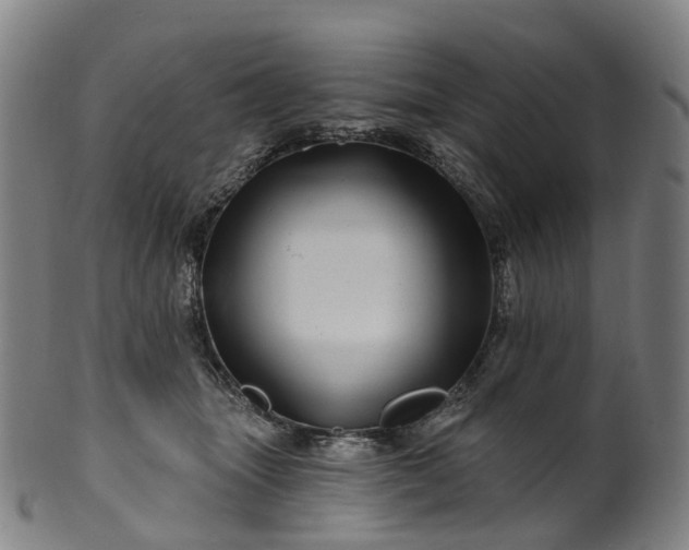 X0000099960463200806061610