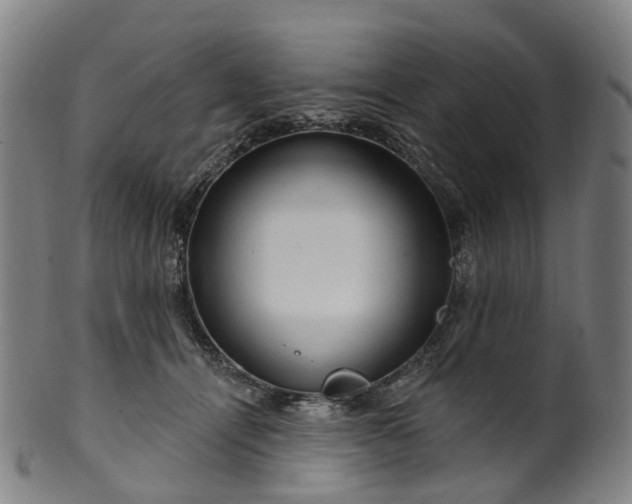 X0000099960464200806061610