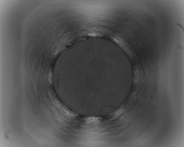 X0000099960465200806061610