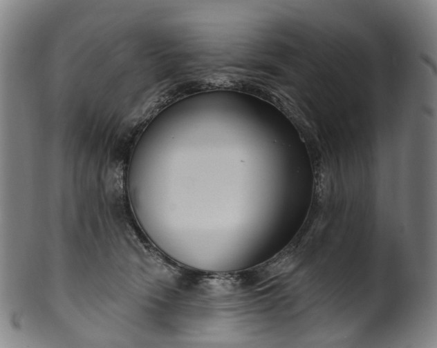 X0000099960466200806061610