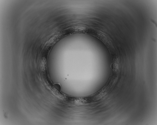 X0000099960468200806061610