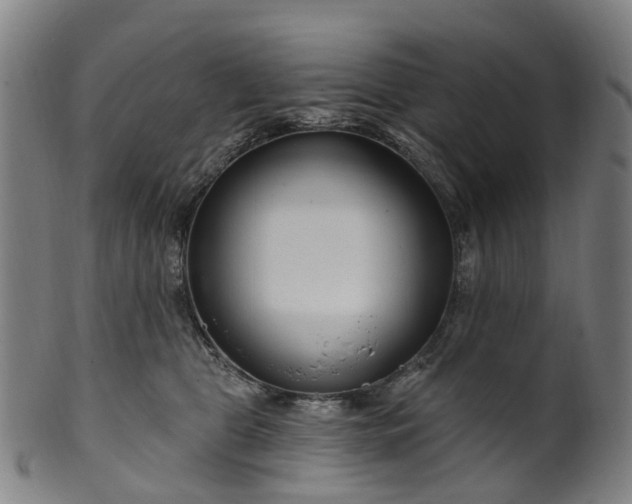 X0000099960469200806061610
