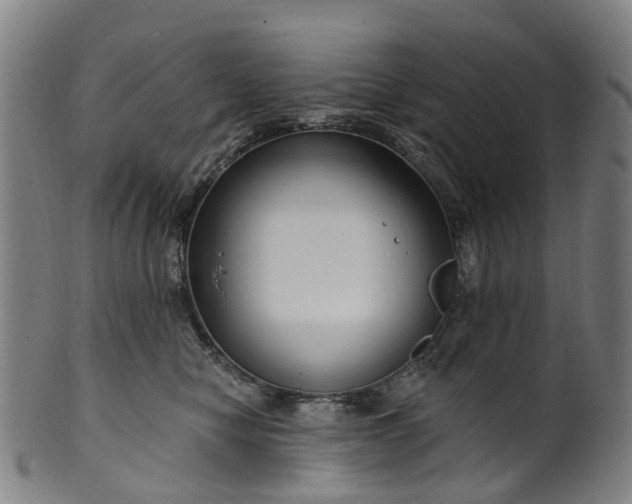 X0000099960470200806061610