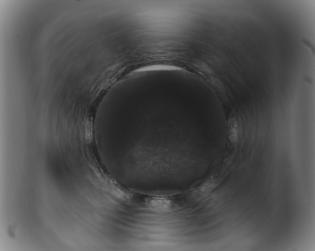 X0000099960471200806061610