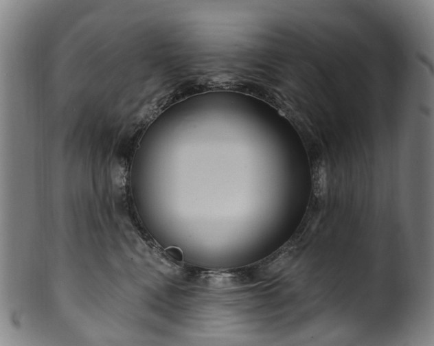 X0000099960472200806061610
