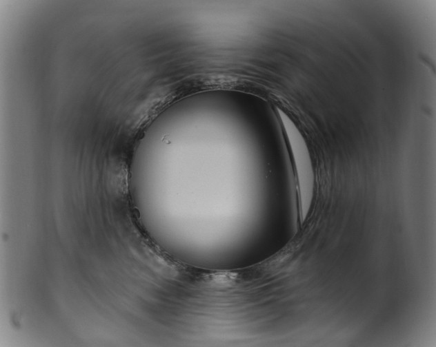 X0000099960474200806061610