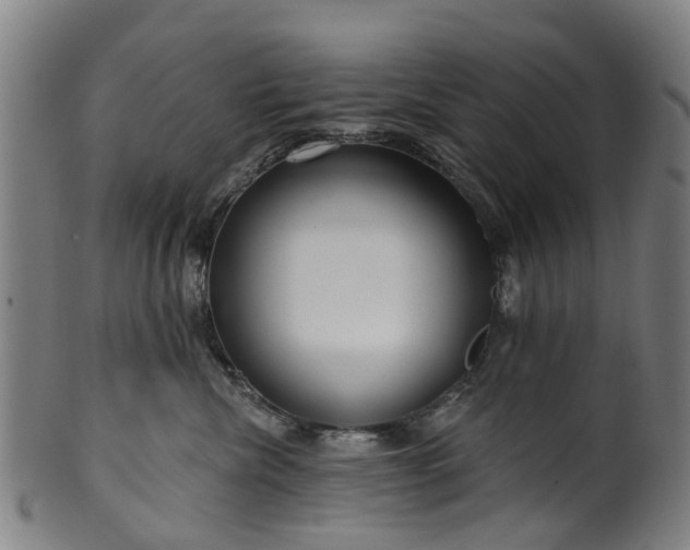 X0000099960476200806061610