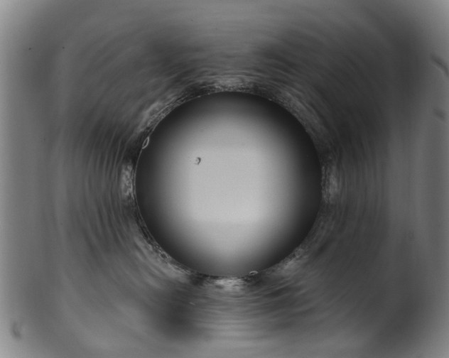 X0000099960478200806061610