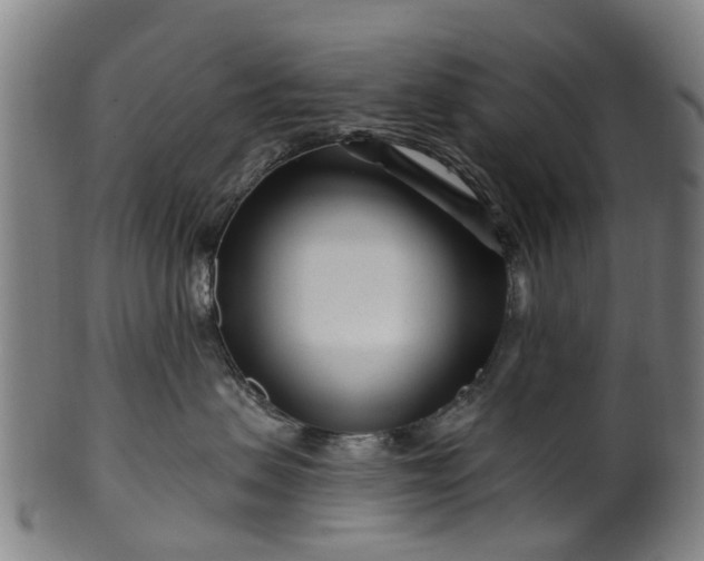 X0000099960479200806061610