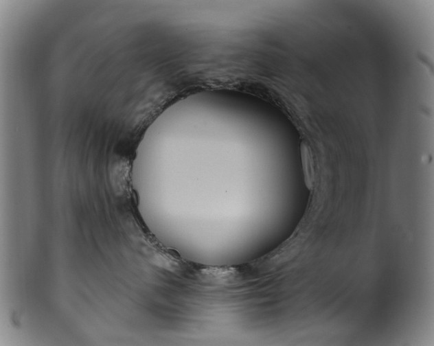 X0000099960480200806061610