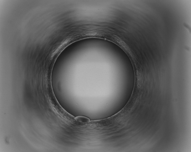X0000099960482200806061609