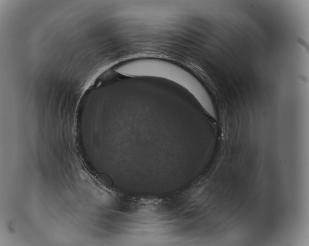 X0000099960484200806061609
