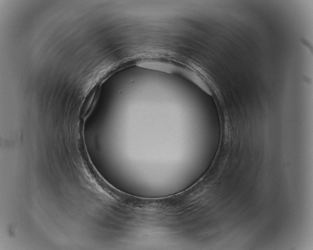 X0000099960485200806061609
