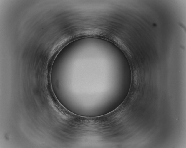 X0000099960486200806061609