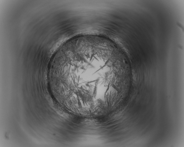 X0000099960487200806061609