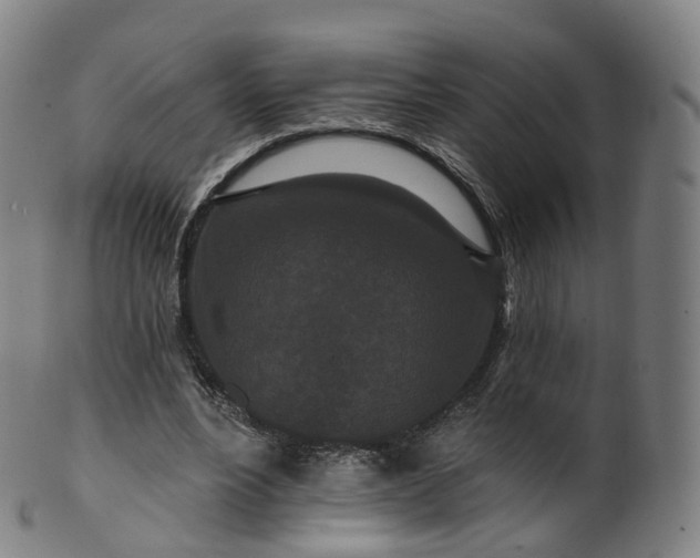 X0000099960488200806061609