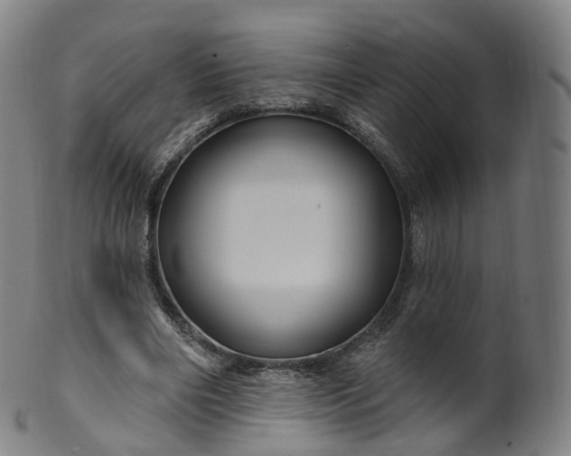 X0000099960490200806061609