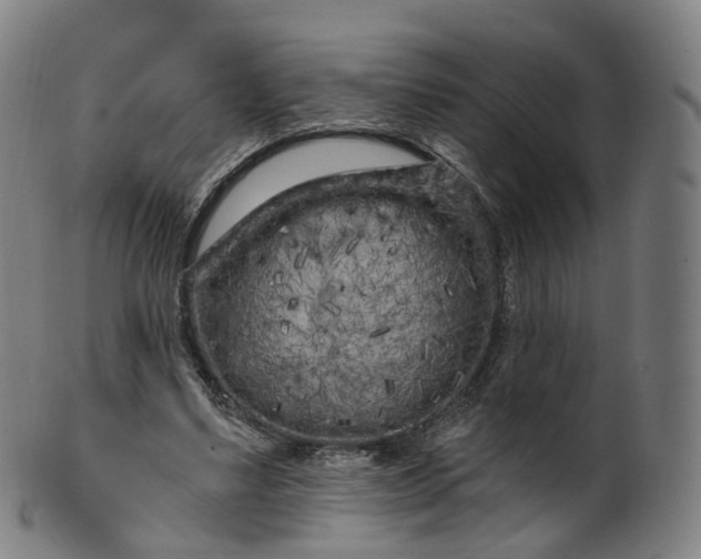 X0000099960491200806061609