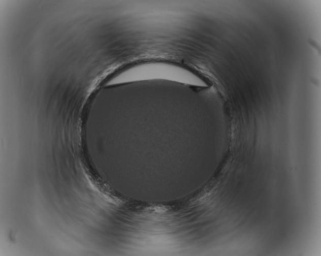 X0000099960492200806061609