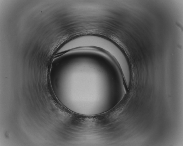 X0000099960493200806061609
